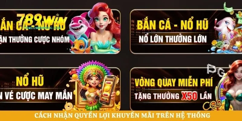 Cách nhận quyền lợi khuyến mãi trên hệ thống